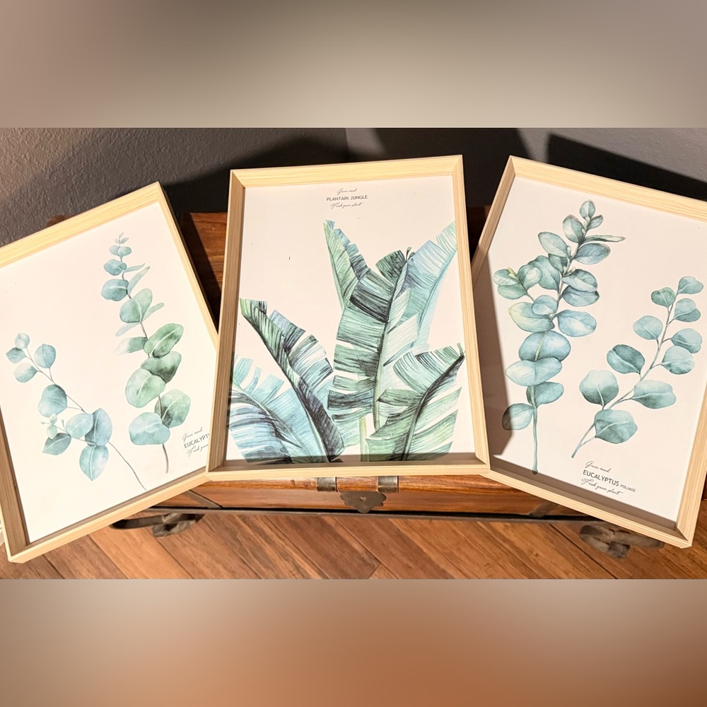 Trio of Botanical Leaf Art in Wooden Frames